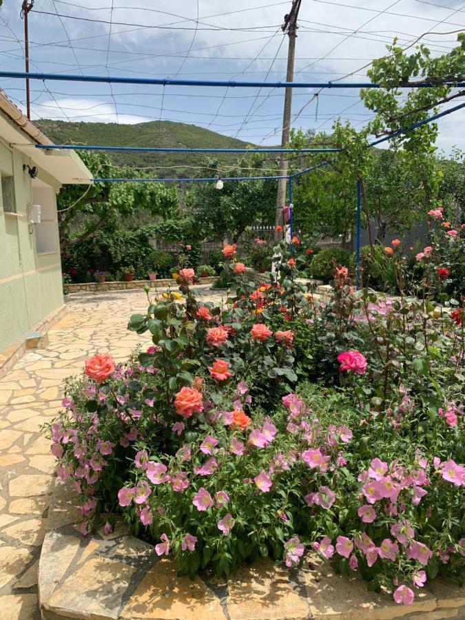 Vjosa Guest House Memaliaj Exterior foto