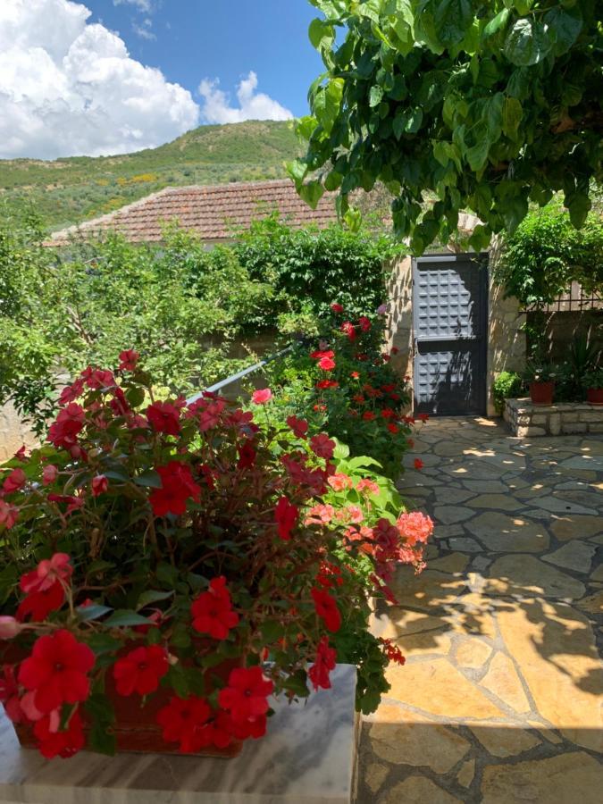 Vjosa Guest House Memaliaj Exterior foto